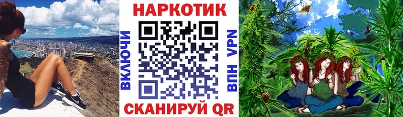 Как найти закладки Жирновск Конопля Амфетамин Гашиш